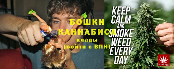 ECSTASY Лиски