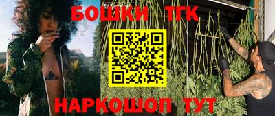 скорость Гатчина