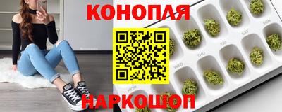 скорость Гатчина